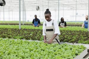 Discover the Cutting-Edge AI Breakthroughs Revolutionizing Agriculture in the UK